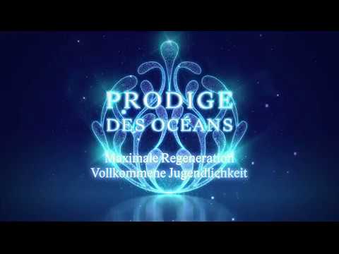 Prodige des Oceans - The body cream